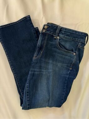 American Eagle Outfitters Dark Blue Bootcut Jeans